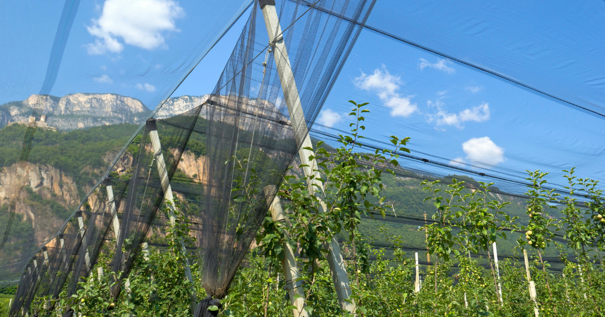 Big Lift Crane for agriculture southern okanagan
